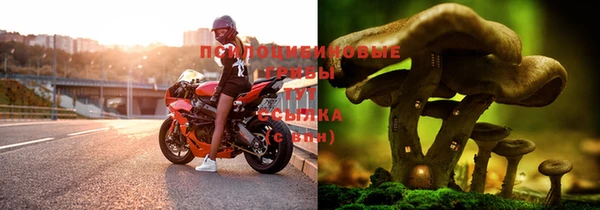 а пвп мука Краснослободск